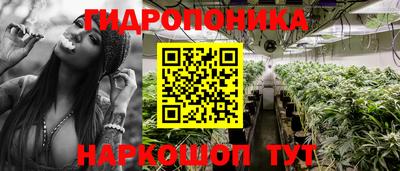 spice Обь